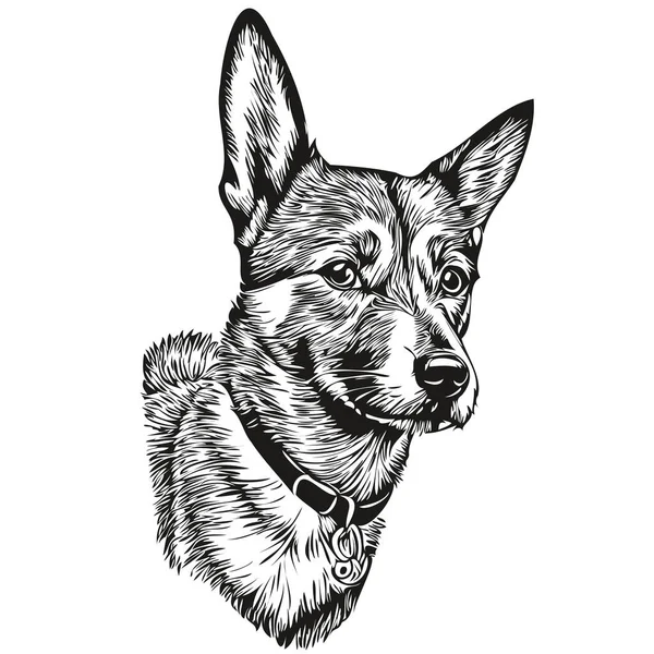 Basenji Dog Vector Face Draw Portrait Sketch Vintage 스타일 현실적 — 스톡 벡터