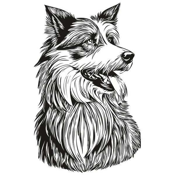 大胡子科利犬繁殖线绘图 剪贴画动物手绘矢量黑白逼真品种宠物 — 图库矢量图片