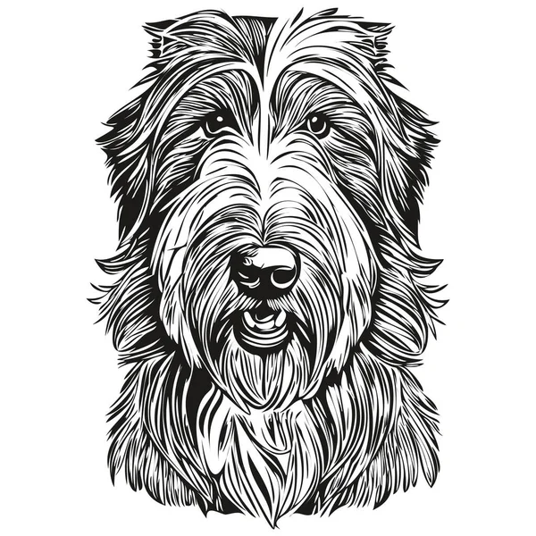 Бородатий Собака Коллі Мультфільм Портрет Обличчя Чорнила Чорно Білий Малюнок — стоковий вектор