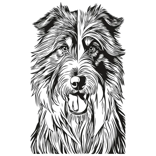 ひげそりCollie犬刻まれたベクトルの肖像画 黒と白の顔の漫画のヴィンテージの図面 — ストックベクタ