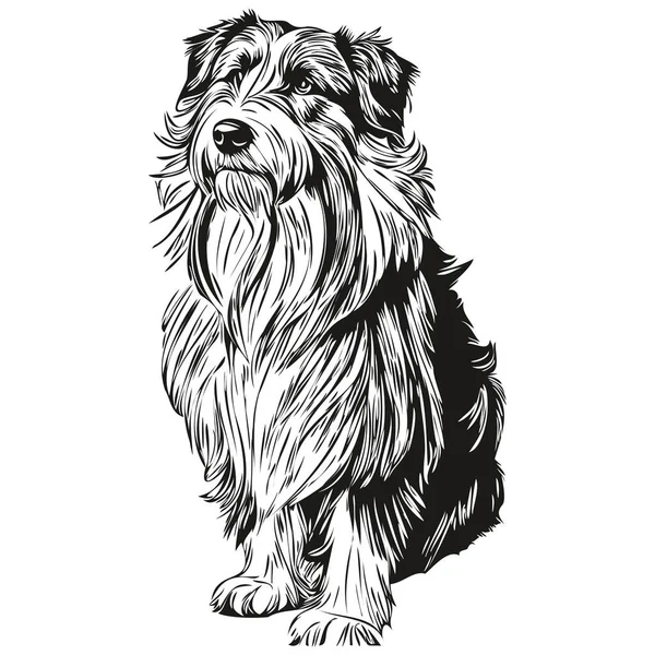 Baard Collie Hond Hand Getekend Logo Tekening Zwart Wit Lijn — Stockvector