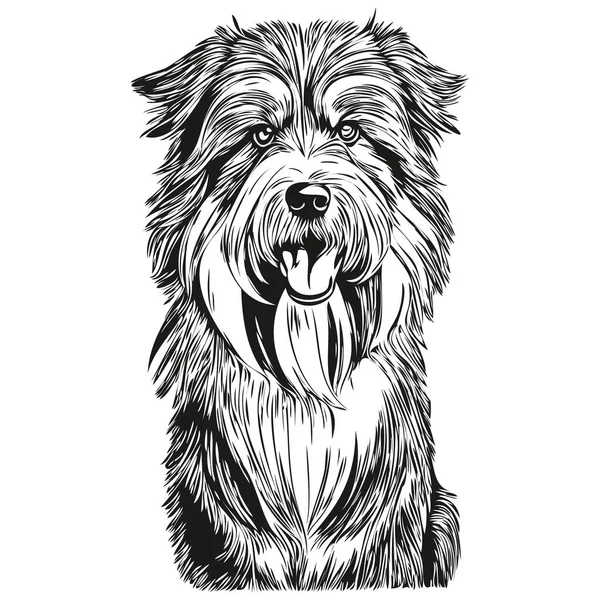 Vousatý Kolie Pes Ručně Kreslené Logo Kreslení Černá Bílá Čára — Stockový vektor