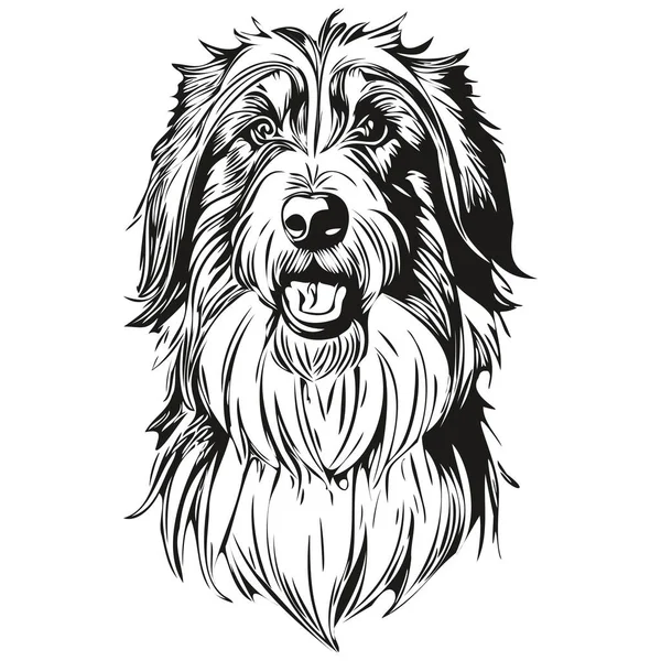 Бородатая Собака Колли Нарисовал Логотип Рисунок Черно Белая Линия Живописи — стоковый вектор