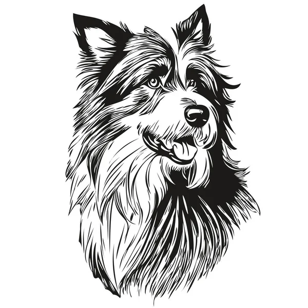 Brodaty Collie Pies Głowa Linia Rysunek Wektor Ręcznie Rysowane Ilustracja — Wektor stockowy