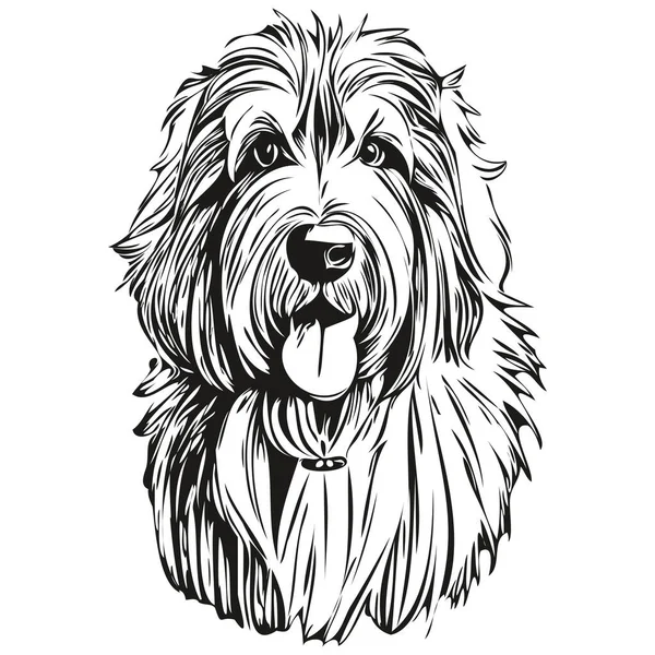ひげそりCollie犬インクスケッチ図面 ヴィンテージタトゥーまたはTシャツプリント黒と白のベクトル準備Tシャツプリント — ストックベクタ