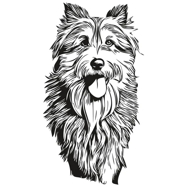 白い背景に独立したひげそりのコリー犬 頭のペットラインイラスト現実的なペットのシルエット — ストックベクタ