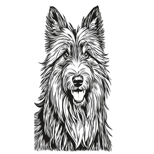 Bearded Collie Dog Isolated Drawing White Background Head Pet Line — Stock Vector