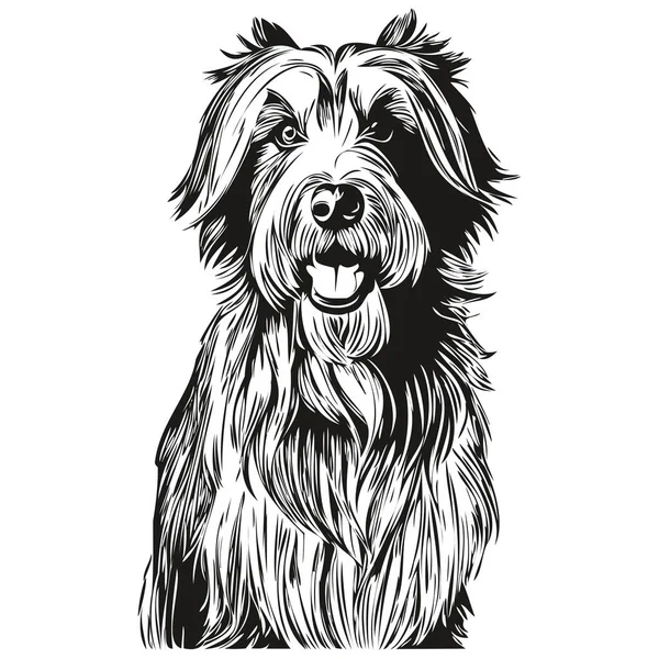 ひげそりCollie犬のロゴベクトル黒と白 ヴィンテージかわいい犬の頭は 現実的な品種のペットを刻ま — ストックベクタ