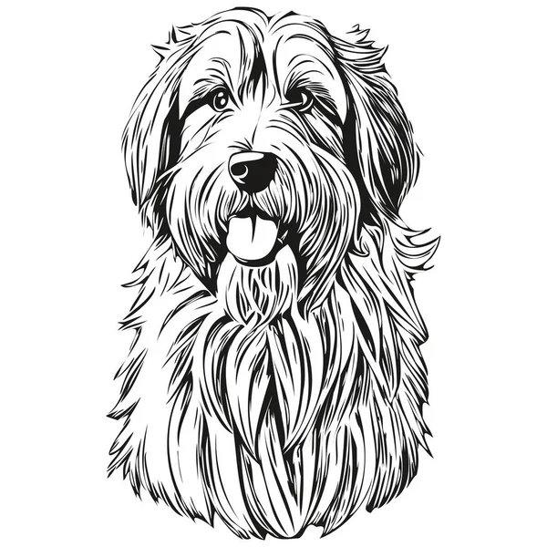Baard Collie Hond Logo Vector Zwart Wit Vintage Schattige Hond — Stockvector
