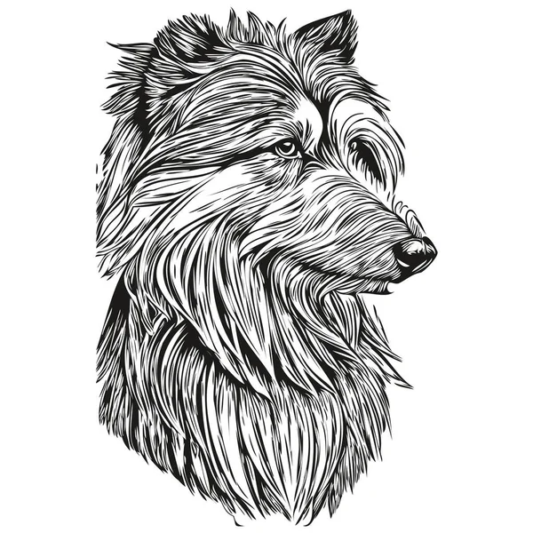 Barbe Collie Chien Crayon Dessin Main Vecteur Illustration Contour Animal — Image vectorielle