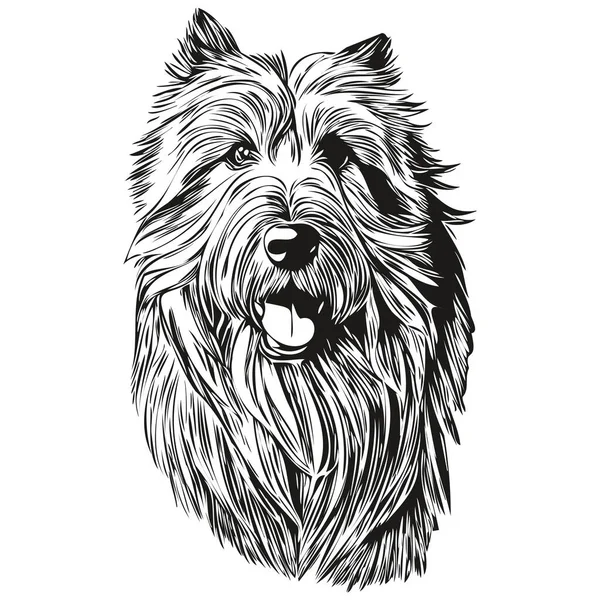 Sakallı Collie Köpeği Hayvan Silueti Hayvan Çizgisi Çizim Eli Siyah — Stok Vektör