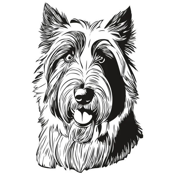 stock vector Bearded Collie dog pencil hand drawing vector, outline illustration pet face logo black and white realistic pet silhouette