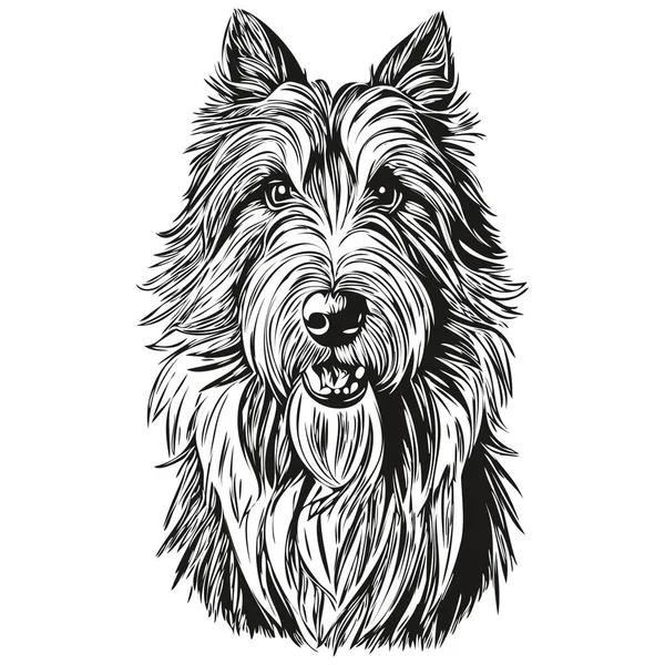Bearded Collie Perro Mascota Boceto Ilustración Grabado Blanco Negro Vector — Vector de stock