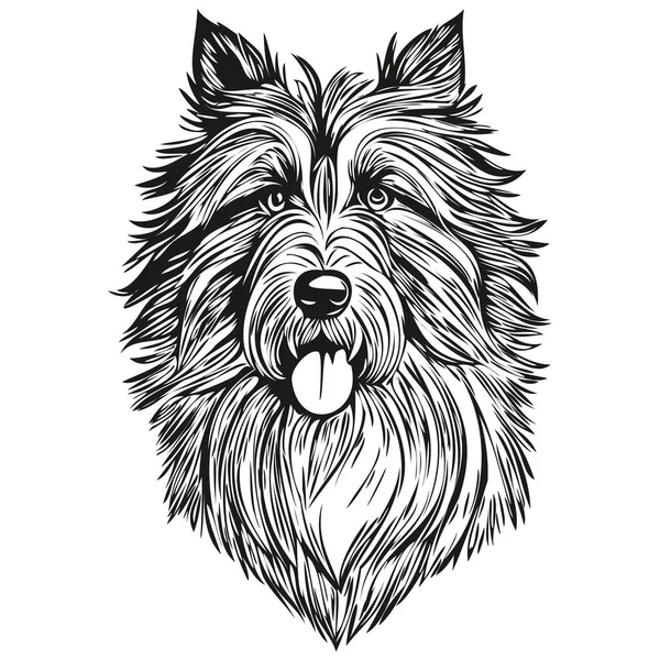 Barbudo Collie Cão Pet Silhueta Animal Linha Ilustração Mão Desenhado —  Vetores de Stock