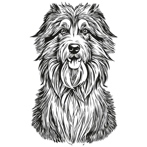 Silueta Mascota Perro Barbudo Collie Ilustración Línea Animal Dibujado Mano — Vector de stock
