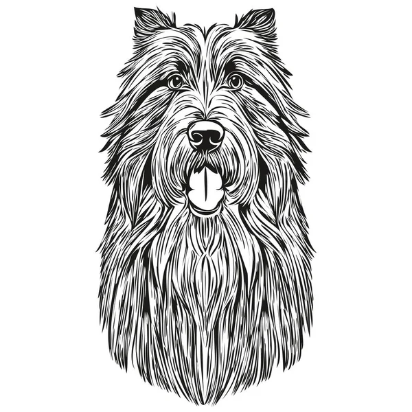 Бородатий Собака Коллі Собака Ескіз Ілюстрація Чорно Білий Гравірувальний Вектор — стоковий вектор