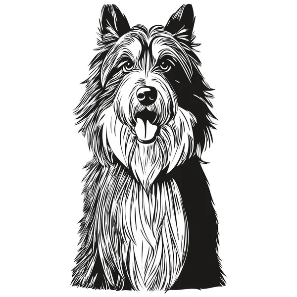 Sakallı Collie Köpeği Gerçekçi Hayvan Çizimi Çizimi Siyah Beyaz Vektör — Stok Vektör