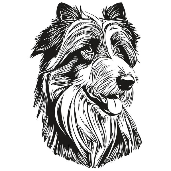 长胡子的科利犬的人物形象 剪贴画的艺术载体宠物画黑白逼真品种的宠物 — 图库矢量图片