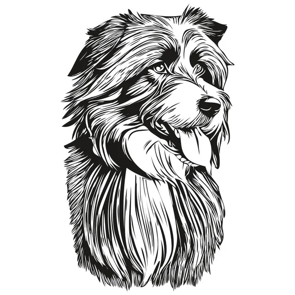 Sakallı Collie Köpek Tişörtü Siyah Beyaz Sevimli Çizim Vektörü Tişörte — Stok Vektör