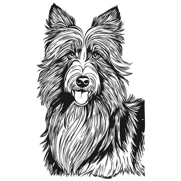 Brodaty Collie Pies Wektor Grafika Ręcznie Rysowane Ołówek Zwierzę Linia — Wektor stockowy