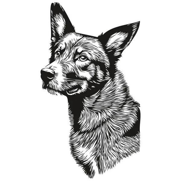 美しい犬の黒い図面ベクトル 孤立した顔の絵線のイラスト — ストックベクタ