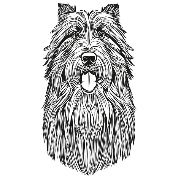 Gráficos Vetor Cão Collie Barbudo Ilustração Linha Animal Lápis Desenhada —  Vetores de Stock