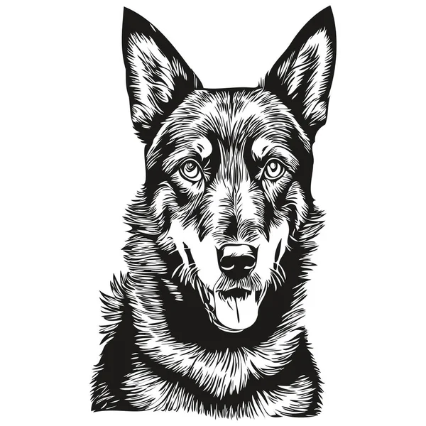 Beauceron Dog Logo Vector Black White Vintage Cute Dog Head — Stock Vector