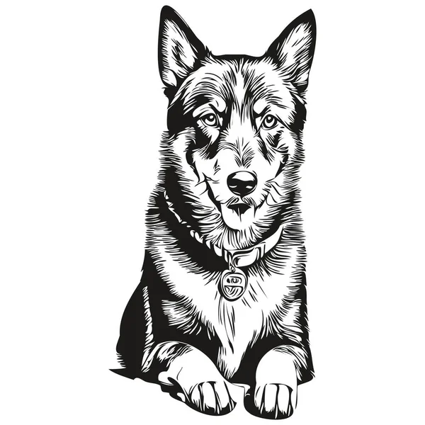 Beauceron Hund Linje Illustration Svart Och Vitt Bläck Skiss Ansikte — Stock vektor