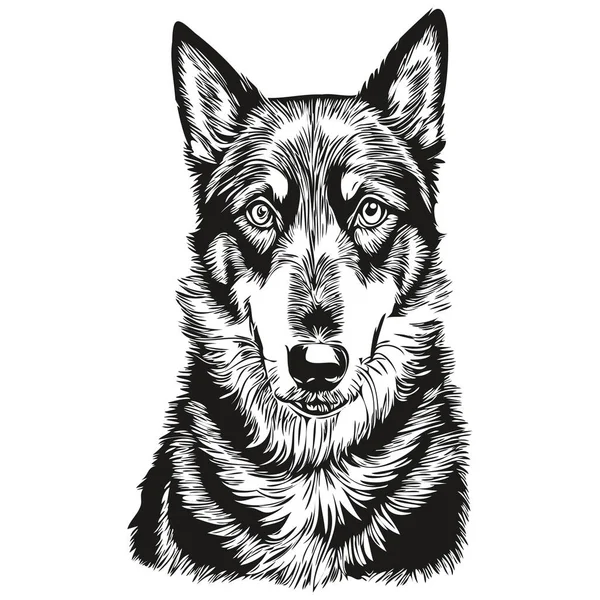 美しい犬のアウトライン鉛筆画のアートワーク 白い背景に黒い文字 — ストックベクタ