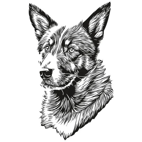 波塞隆犬雕刻矢量肖像画 正面卡通画黑白相间 — 图库矢量图片