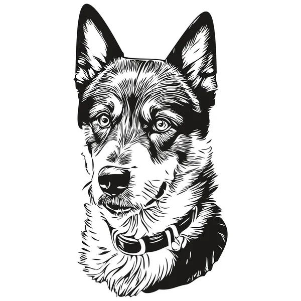 Vektör Olarak Güzel Köpek Portresi Dövme Veya Tişört Izi Çizimi — Stok Vektör