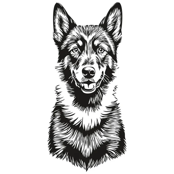 Beauceron Dog Pet Sketch Illustration Black White Engraving Vector — 스톡 벡터
