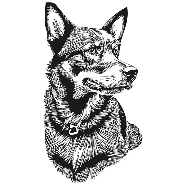 Beauceron Hund Bleistift Hand Zeichnung Vektor Umriss Illustration Haustier Gesicht — Stockvektor