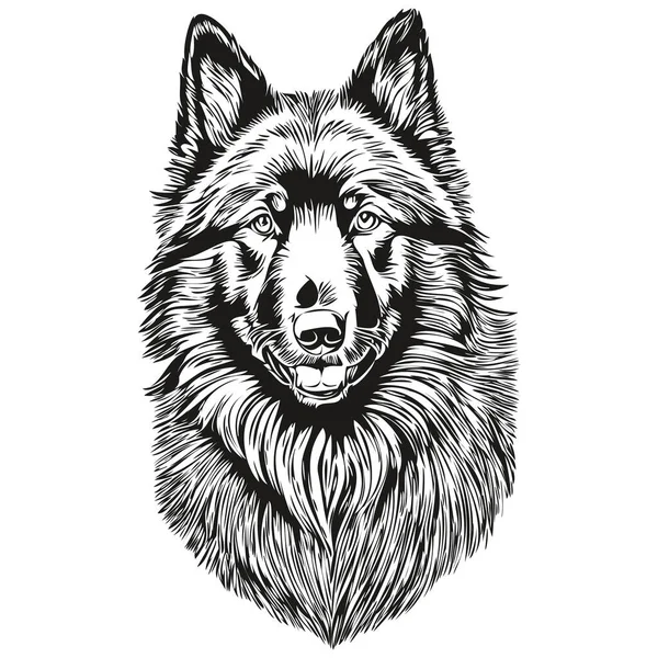 Belgický Ovčák Pes Plemeno Čára Kreslení Klip Art Zvíře Ruční — Stockový vektor