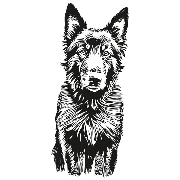Бельгийская Овчарка Рисунок Породы Собаки Клип Животного Руки Рисования Вектор — стоковый вектор