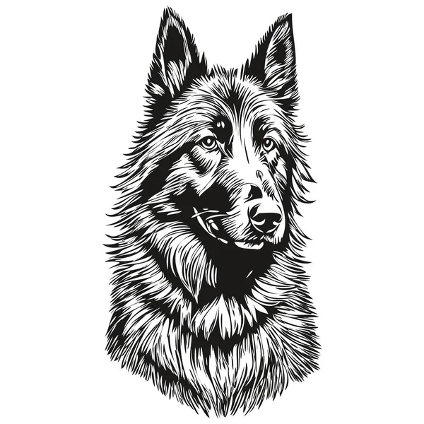 Belgian Sheepdog Cartoon Face Ink Portrait Black White Sketch Draw — 스톡 벡터
