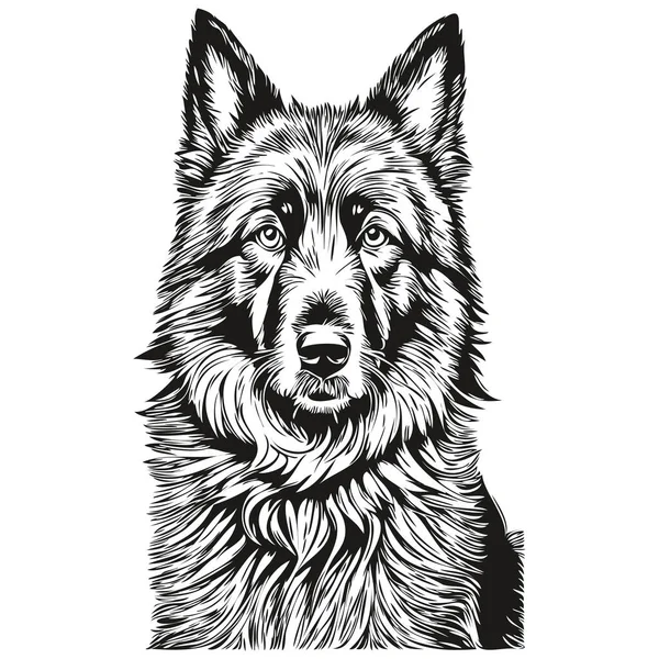 Belgian Sheepdog Dog Black Drawing Vector Isolated Face Painting Sketch — Stock Vector