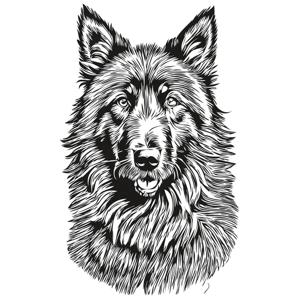 Belçika Çoban Köpeği Karikatür Yüzü Mürekkep Portresi Siyah Beyaz Çizim — Stok Vektör