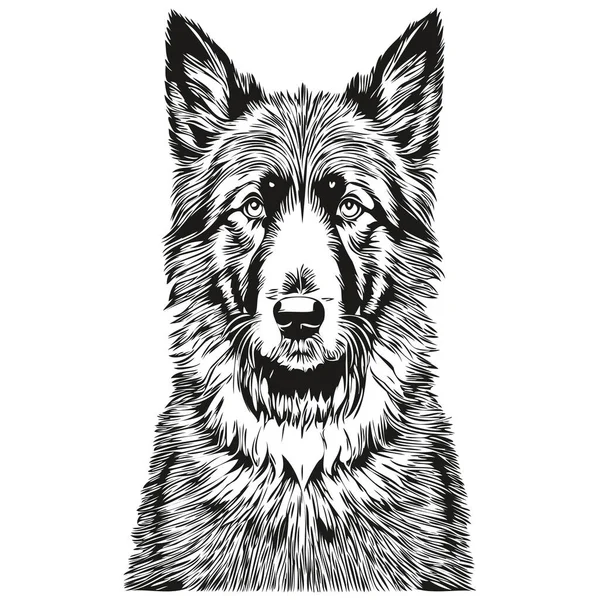 比利时牧羊犬雕刻矢量肖像 脸谱卡通画黑白逼真品种宠物 — 图库矢量图片