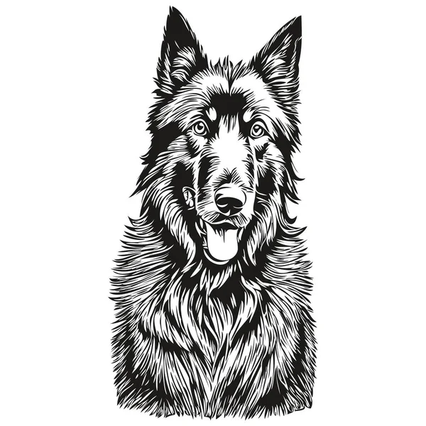 Belgiska Sheepdog Ansikte Vektor Porträtt Rolig Kontur Husdjur Illustration Vit — Stock vektor