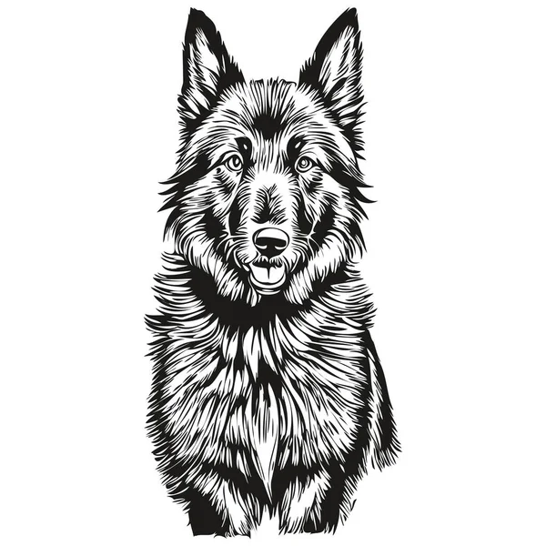 Belgian Sheepdog Face Vector Portrait Funny Outline Pet Illustration White — 스톡 벡터