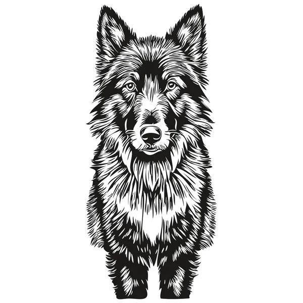 ベルギーのシープドッグの手描きのロゴは黒と白のラインアートペットイラスト現実的な品種のペットを描く — ストックベクタ