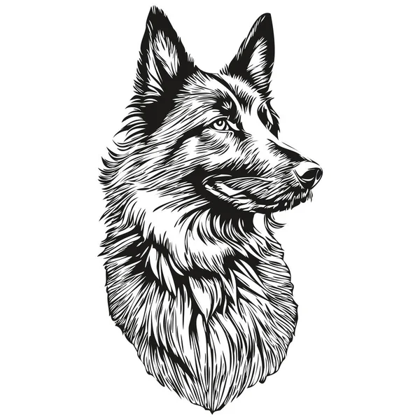 Belgijski Pies Owczarek Szkic Szkic Rysunek Vintage Tatuaż Lub Koszulka — Wektor stockowy