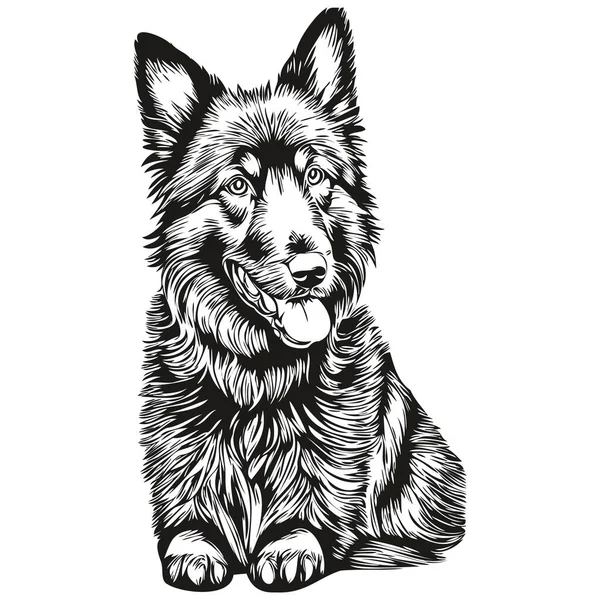 比利时牧羊犬标志向量黑白 老式可爱的狗头雕刻 — 图库矢量图片