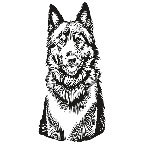 比利时牧羊犬标志载体黑白相间 老式可爱的狗头雕刻逼真的品种宠物狗 — 图库矢量图片