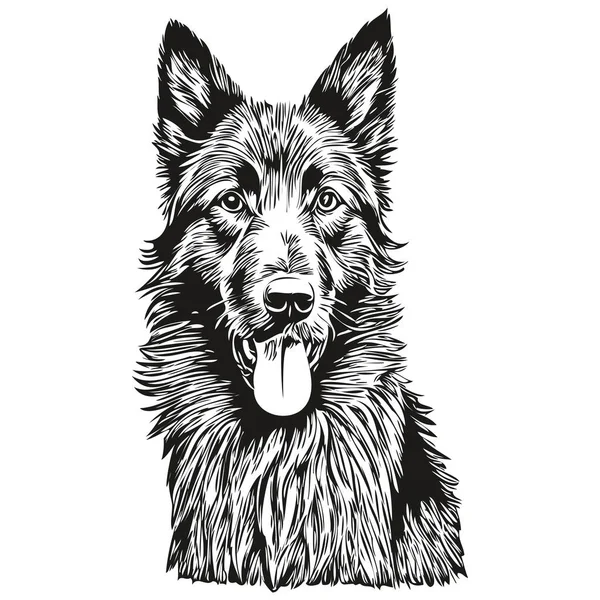 Belgische Schaap Hond Lijn Illustratie Zwart Wit Inkt Schets Gezicht — Stockvector
