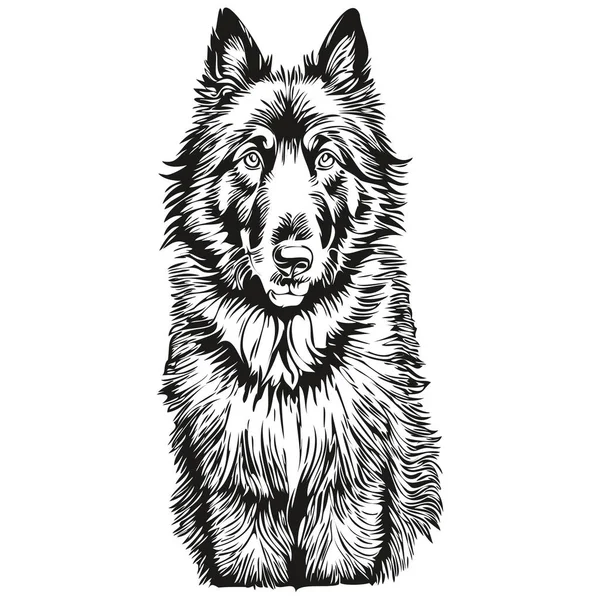 Belgischer Schäferhund Umreißt Bleistiftzeichnung Schwarzer Charakter Auf Weißem Hintergrund — Stockvektor