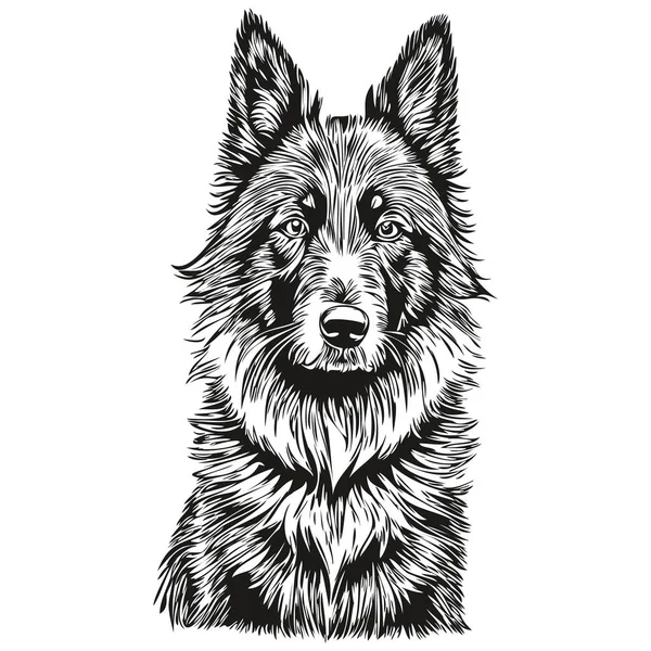 比利时牧羊犬毛笔画图 白色背景上的黑色人物现实宠物 — 图库矢量图片