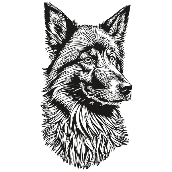 比利时牧羊犬铅笔手绘矢量 勾画出宠物脸标识黑白轮廓 — 图库矢量图片