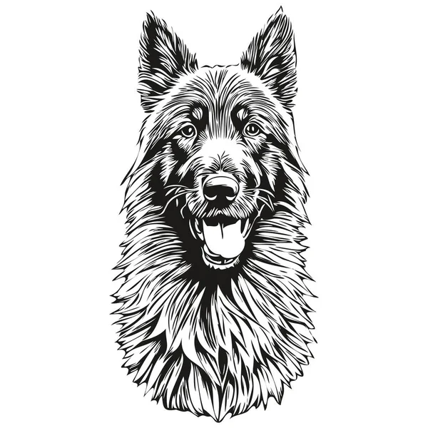 比利时牧羊犬宠物狗轮廓 动物线条图解手绘黑白矢量逼真品种宠物狗 — 图库矢量图片